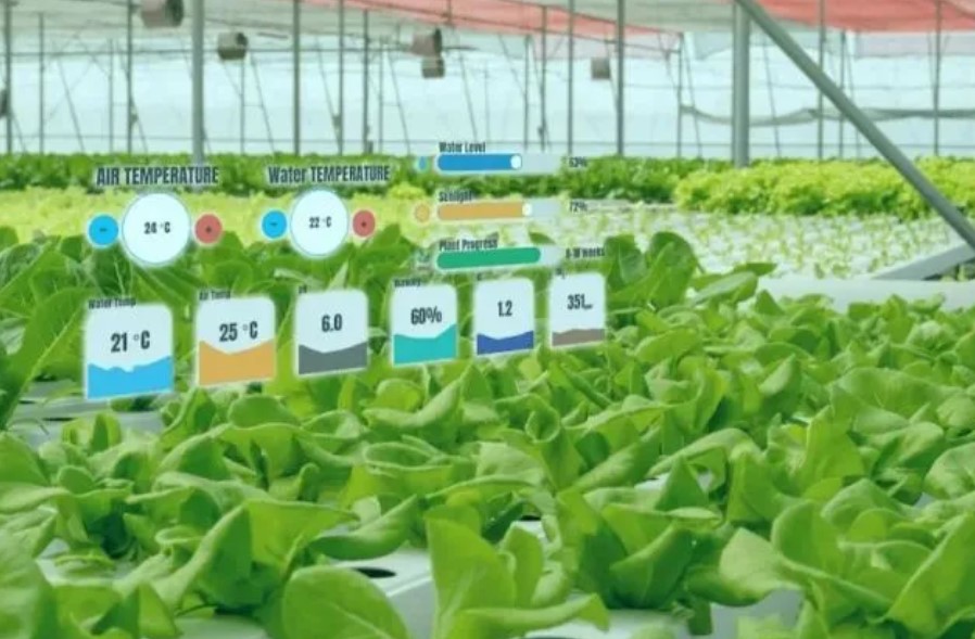 &#107;&#98;&#20307;&#32946;&#40;&#20013;&#22269;&#41;&#23448;&#26041;&#32593;&#31449;&#45;&#30331;&#24405;&#20837;&#21475;